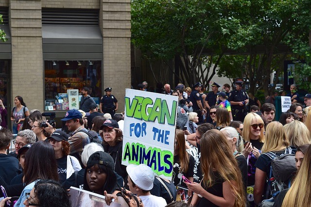 vegan rally with the camera focusing 